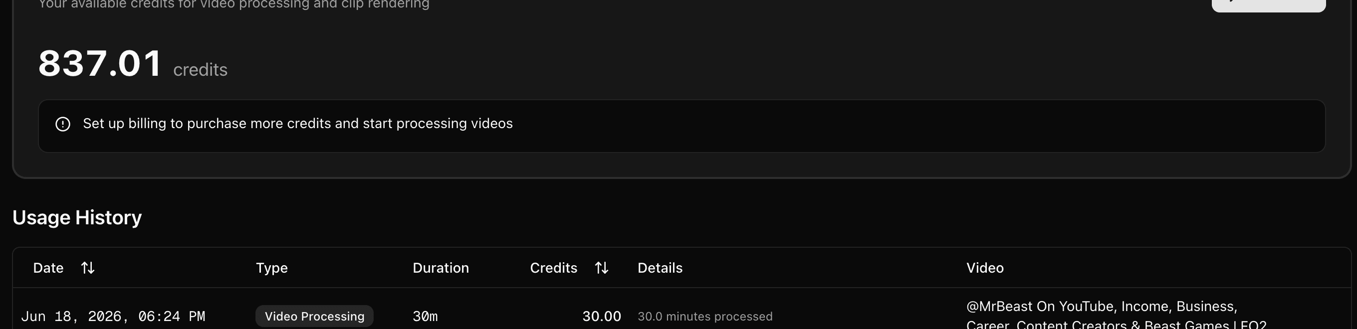 The Usage page showing your credit balance and a history of what you have used.