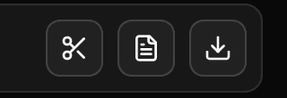 The video's buttons, with the download icon on the right.