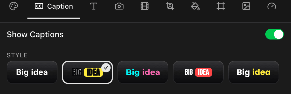 The Caption tab open, showing the row of ready-made caption looks.