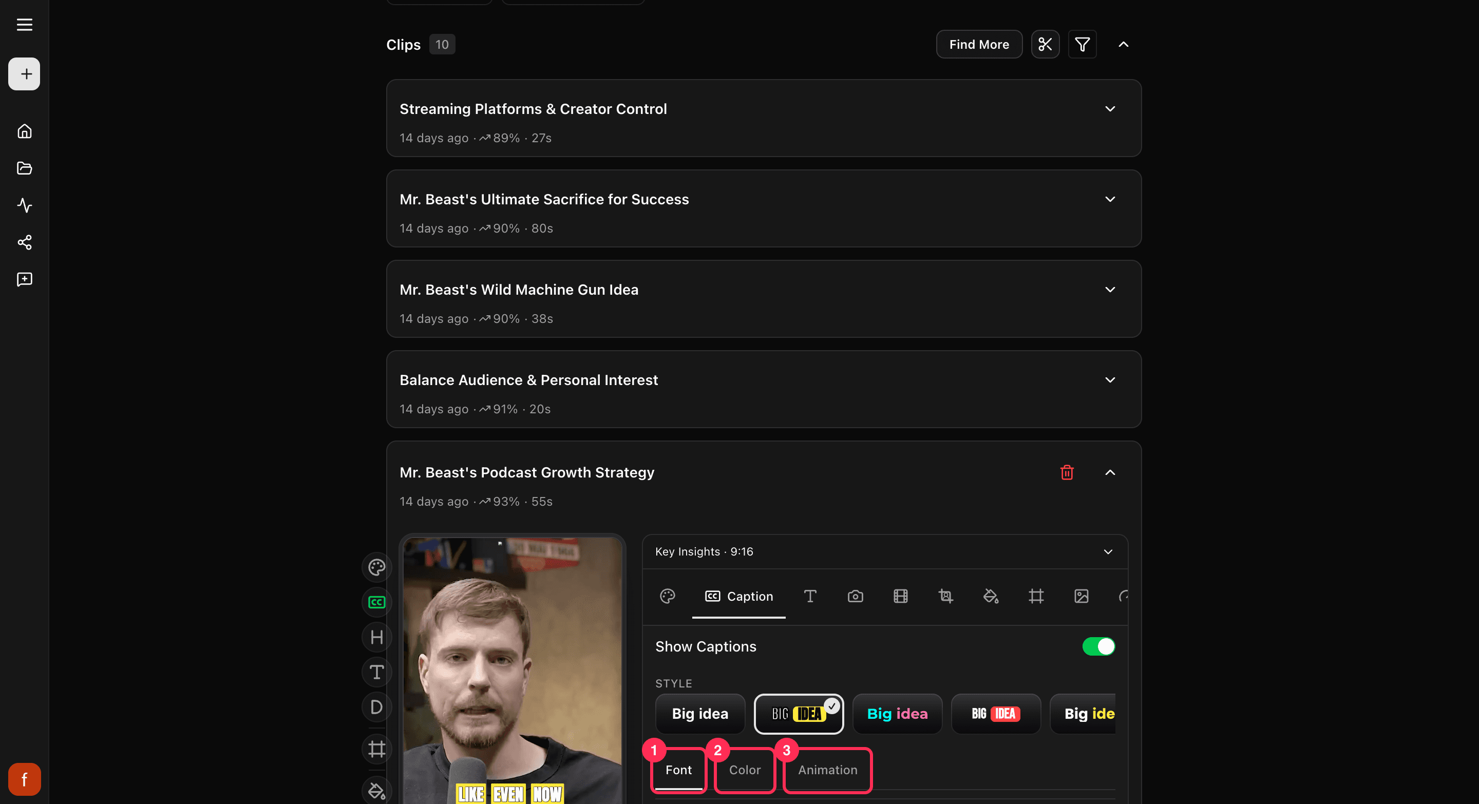 The Caption tab's Font, Color, and Animation tabs, with size and font options.