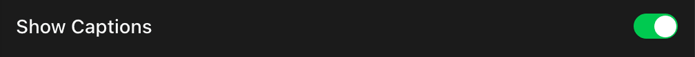 The Show Captions switch at the top of the Caption tab.